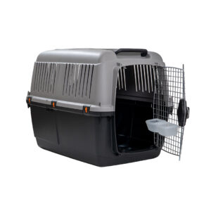 Kennel BRACCO 5
