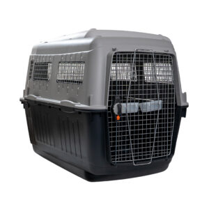 Kennel BRACCO 7