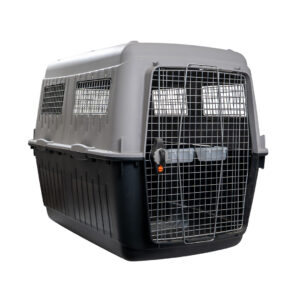Kennel BRACCO 8